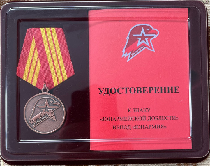 Вручение медалей «Юнармейская доблесть».